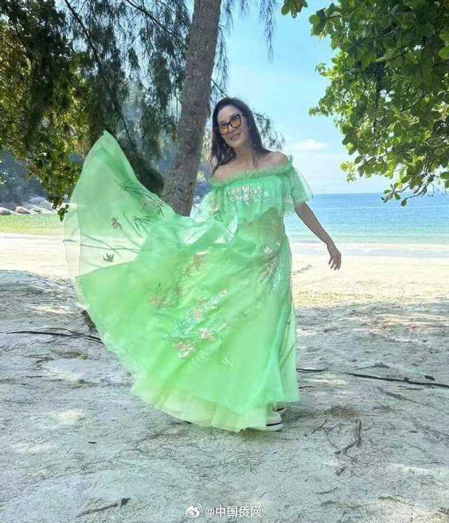 杨紫琼在马来西亚补办婚宴 跨国爱情终成眷属