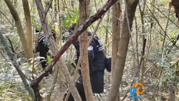 杀妻嫌犯李小龙被认出是否千人搜山围捕 群众参与警民合作有何好处_酷知科普