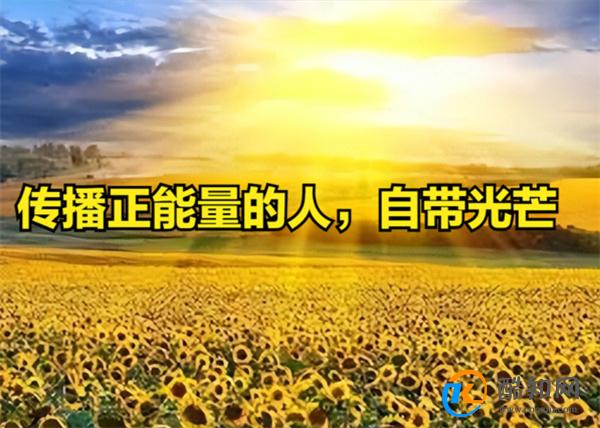 女网红是否因不当言论禁言30天 网络言论是否有社会责任_酷知科普