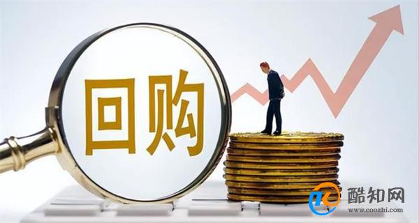 专家建议国家拿出30万亿回购房产 国家应出手帮助房市吗_酷知科普
