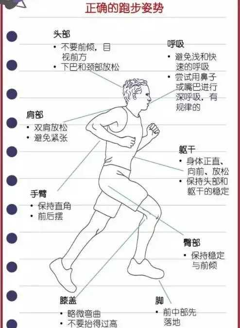 跑步基本常识 - 跑步的基本技术要领视频 第1张 跑步基本常识 - 跑步的基本技术要领视频