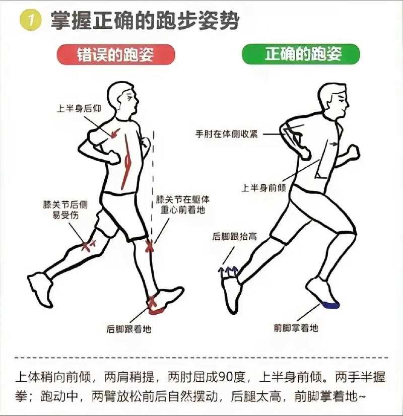 跑步基本常识 - 跑步的基本技术要领视频 第5张 跑步基本常识 - 跑步的基本技术要领视频