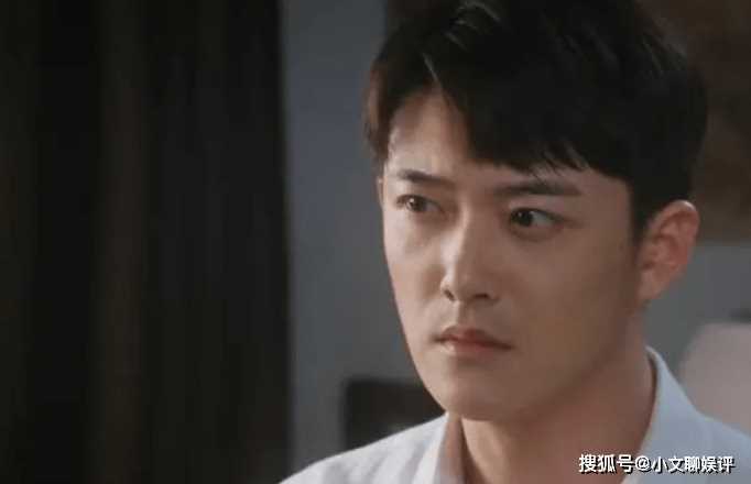 《画眉》鹿城是怎么死的?白铭汉究竟是好人还是坏人?