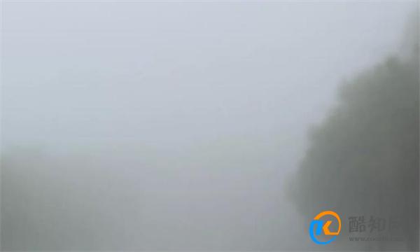 成都大雾网友睡了一觉成仙了 成都大雾堪比寂静岭