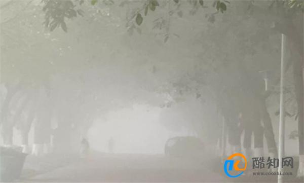 成都大雾网友睡了一觉成仙了 成都大雾堪比寂静岭