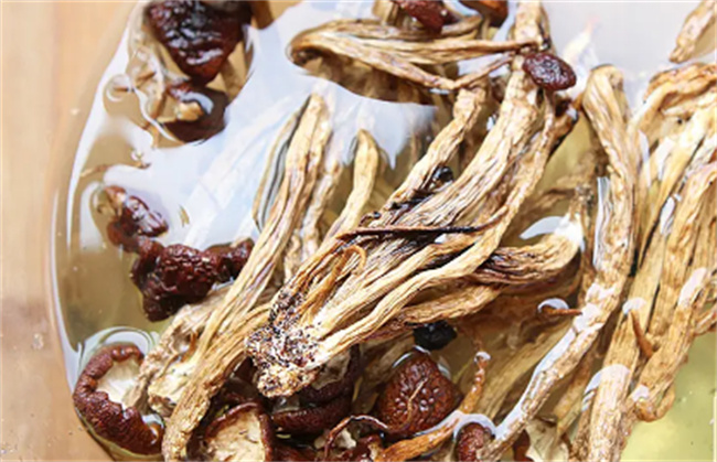 立冬吃什么肉补身体