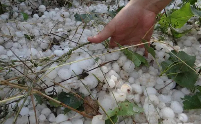 冰雹是怎么形成的 冰雹属于凝固还是凝华