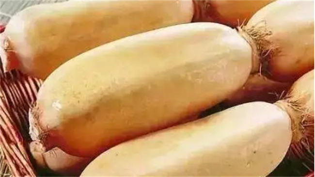 养胃的食物怎么做