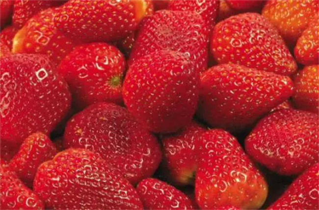 名字里带有莓的水果都有什么