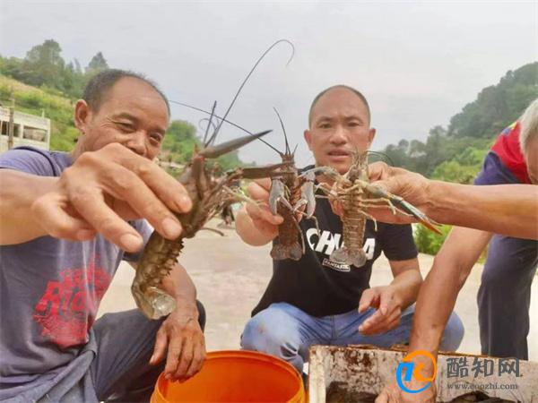 各地花式回礼谢谢尔滨 从淄博到哈尔滨体现出了什么