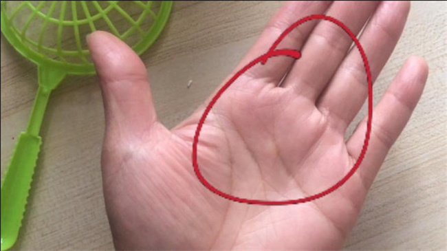 手相薄就是没钱吗