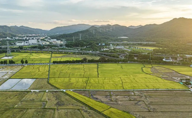 为何自然资源部对耕地保护突出问题实行一票否决