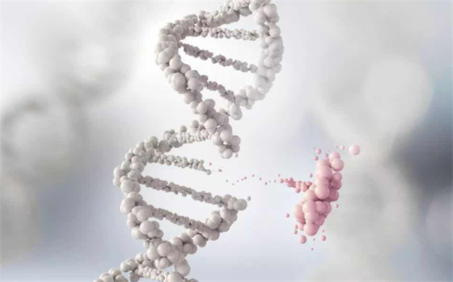 研究发现一种导致红斑狼疮的基因突变是什么
