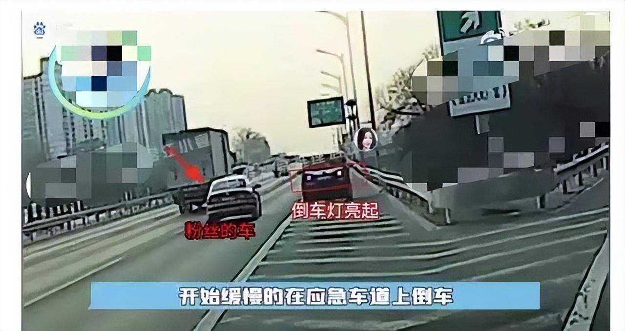 又有明星违章!交警回应虞书欣司机在高速上倒车:已介入调查