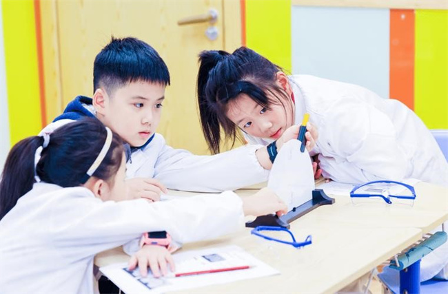 如何培养孩子的团队协作能力