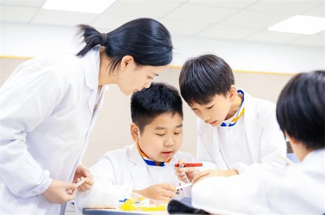 如何培养孩子的团队协作能力