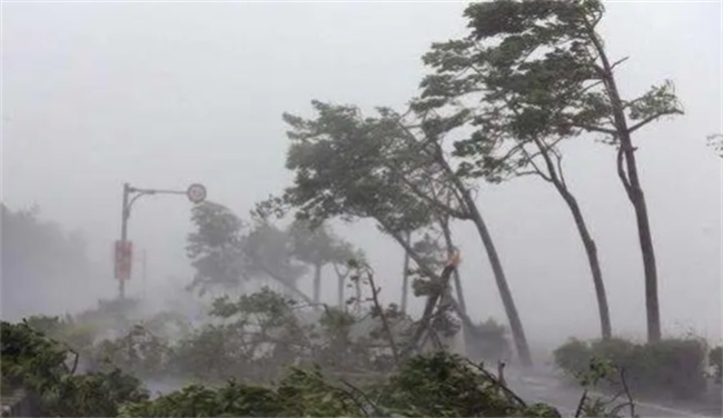 全球气候变暖的危害有哪些 应对气候变暖的具体措施