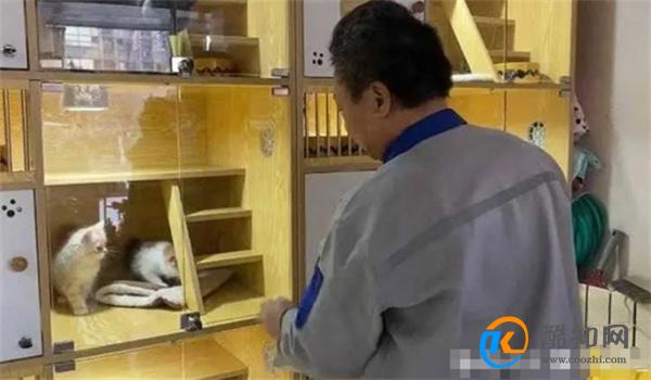 春节前宠物寄养“一窝难求” 春节宠物寄养价格飙升