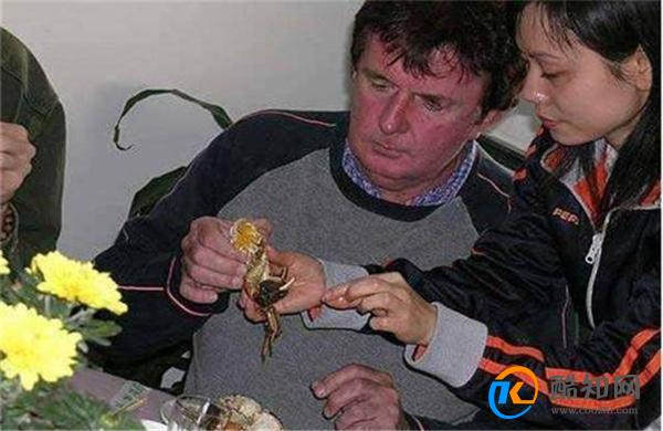 比利时设陷阱诱捕300万只大闸蟹 诱捕的方式是什么