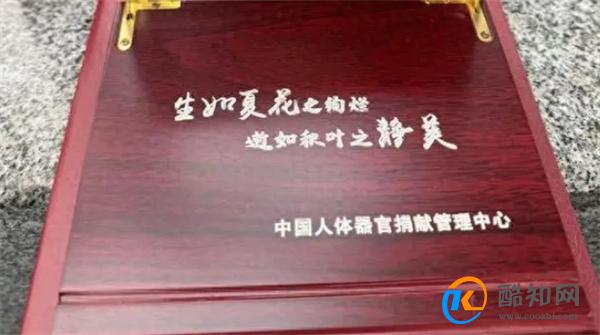 13岁少年遭霸凌脑死亡捐器官救7人 校园霸凌何时结束
