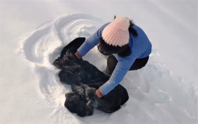 白色貂皮大衣怎么清洗保养，雪地里洗貂的正确方法