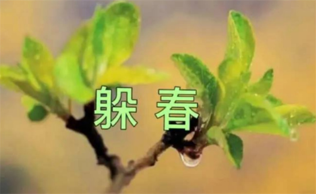 躲春通常躲几个小时,躲春是什么意思