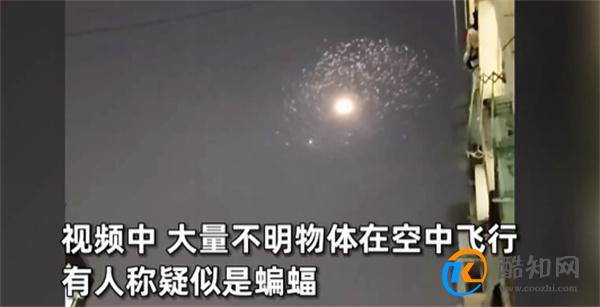 网友拍到不明发光物形若游龙 不明飞行物目击事件