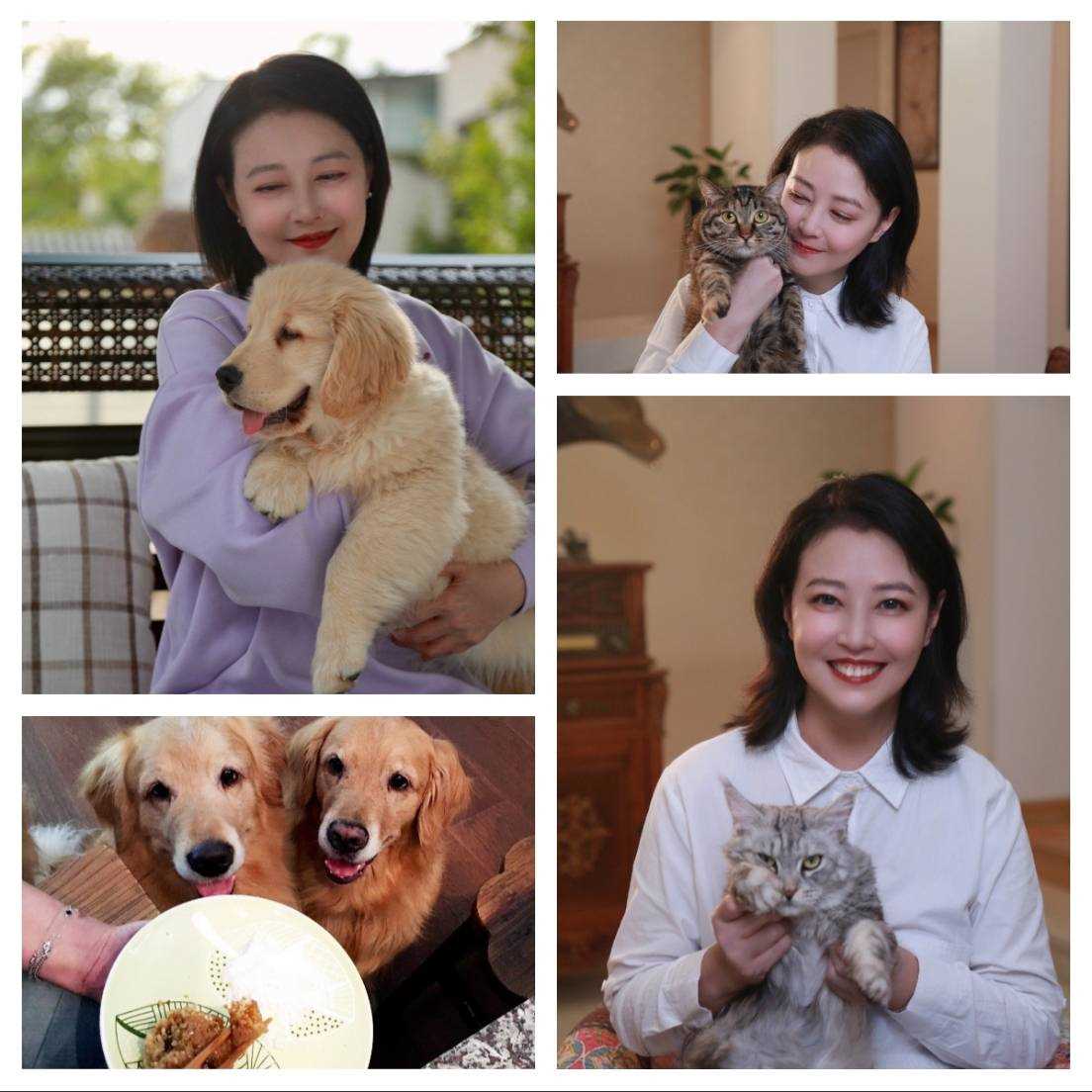 演员李勤勤收养周海媚爱犬 承诺将全心全意地照顾好毛孩子