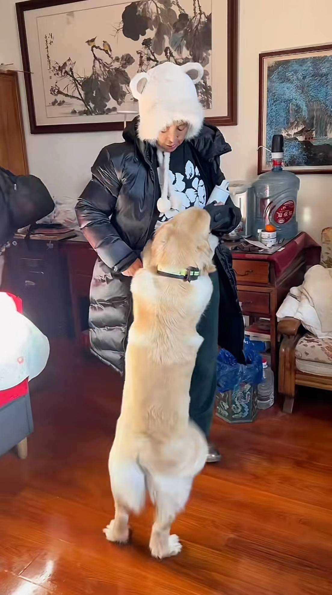 演员李勤勤收养周海媚爱犬 承诺将全心全意地照顾好毛孩子