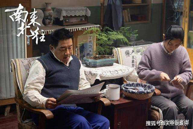 《南来北往》马魁沈秀萍二婚太幸福 马燕趁机与汪新结婚,结局圆满