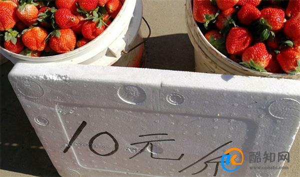 草莓价格腰斩了 草莓价格为何下降