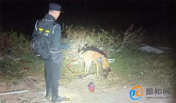 失踪4姐弟凌晨被发现在芦苇丛睡觉 反映沟通的重要性