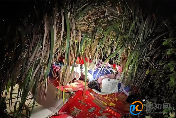 失踪4姐弟凌晨被发现在芦苇丛睡觉 反映沟通的重要性