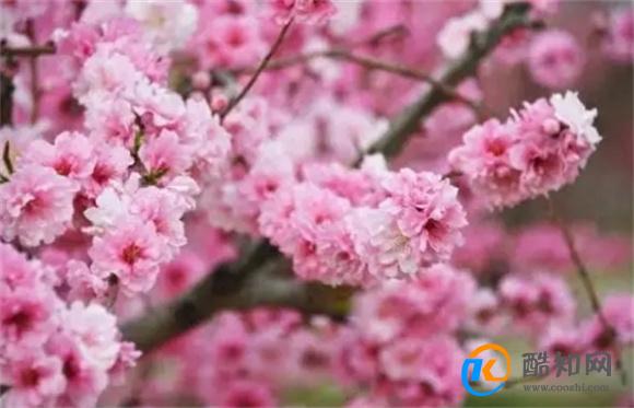 男生患桃花癫感觉全校女生喜欢自己 桃花癫是什么病