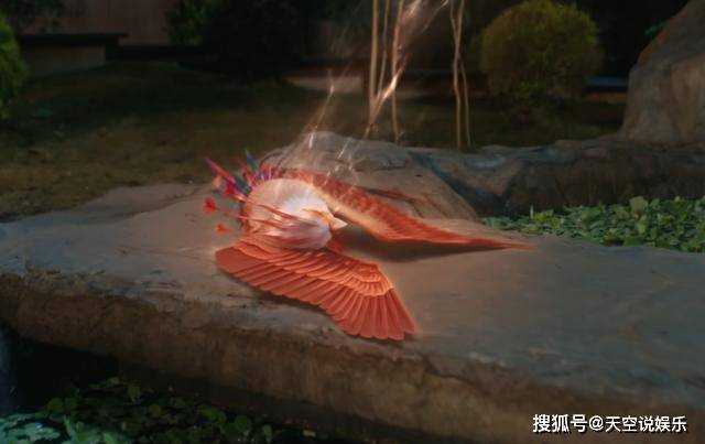 《与凤行》第一集就被看个精光!碧苍王的一世英名,全毁在行云手里了