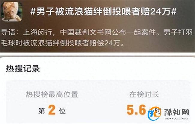 男子被流浪猫绊倒投喂者赔24万 构成饲养关系的原因