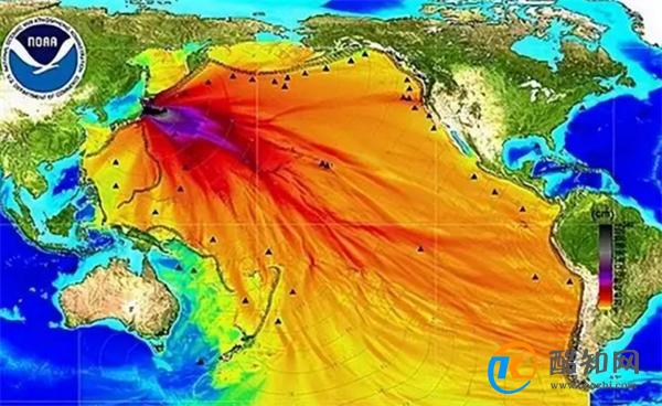 台湾查出日本鱼类致癌物超标40倍 原因是什么