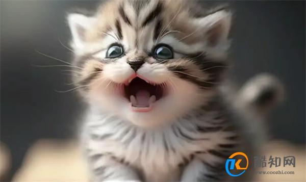 猫是如何取代狗 成为中国人的首宠 养猫咪的好处