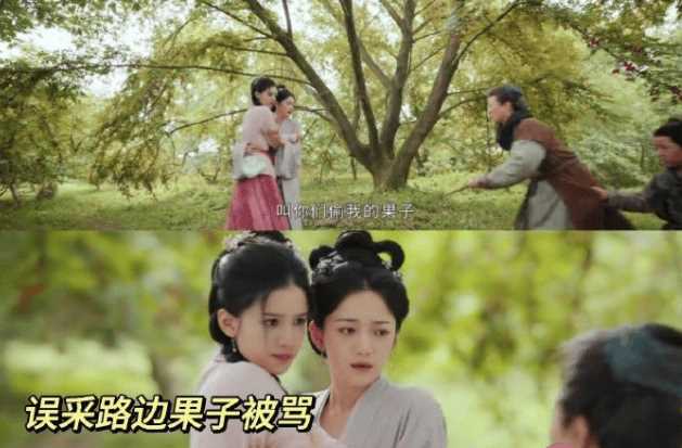 《惜花芷》四夫人的孩子是谁的？花家因何被抄家？
