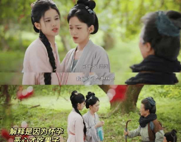 《惜花芷》四夫人的孩子是谁的？花家因何被抄家？