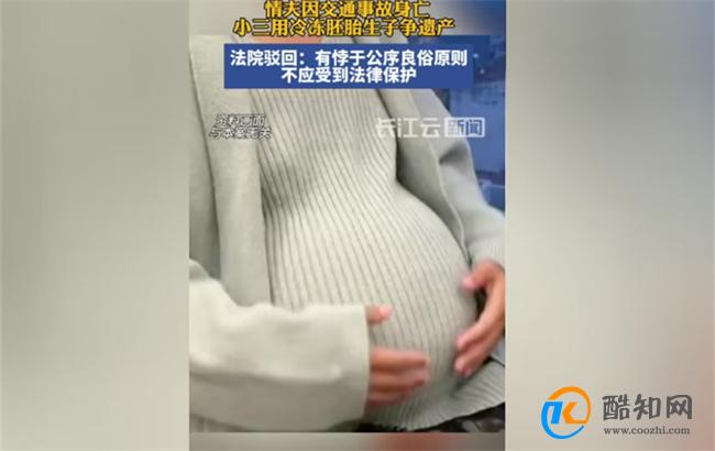 情夫死后小三用冷冻胚胎生子争遗产 法院驳回女子诉求