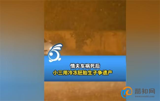情夫死后小三用冷冻胚胎生子争遗产 法院驳回女子诉求