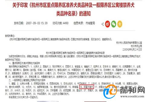 女子在小区车库遇到1米多高阿富汗猎犬 遇到猎犬怎么办