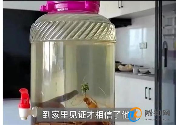 人参泡酒15年后竟复活 人参泡酒复合过程