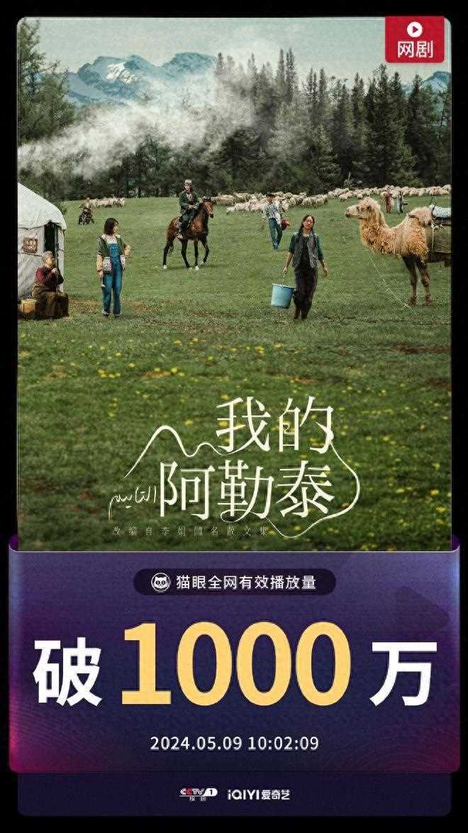 《我的阿勒泰》播放量破千万 文艺片终于找回荣光，马伊琍赌对了！