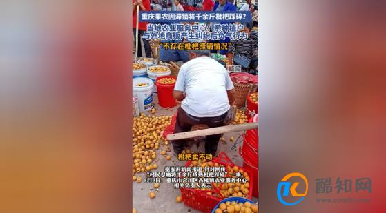 重庆果农踩碎滞销枇杷 官方回应不存在滞销
