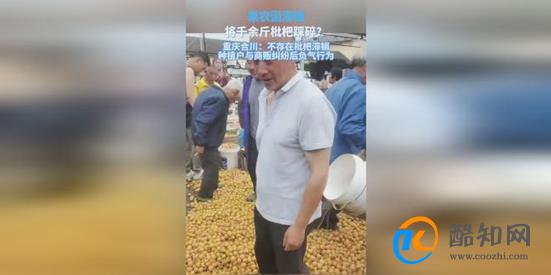 重庆果农踩碎滞销枇杷 官方回应不存在滞销