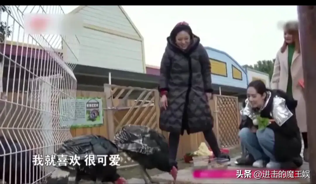 主打一个自信！郭碧婷直播关美颜 真实美貌惊艳网友