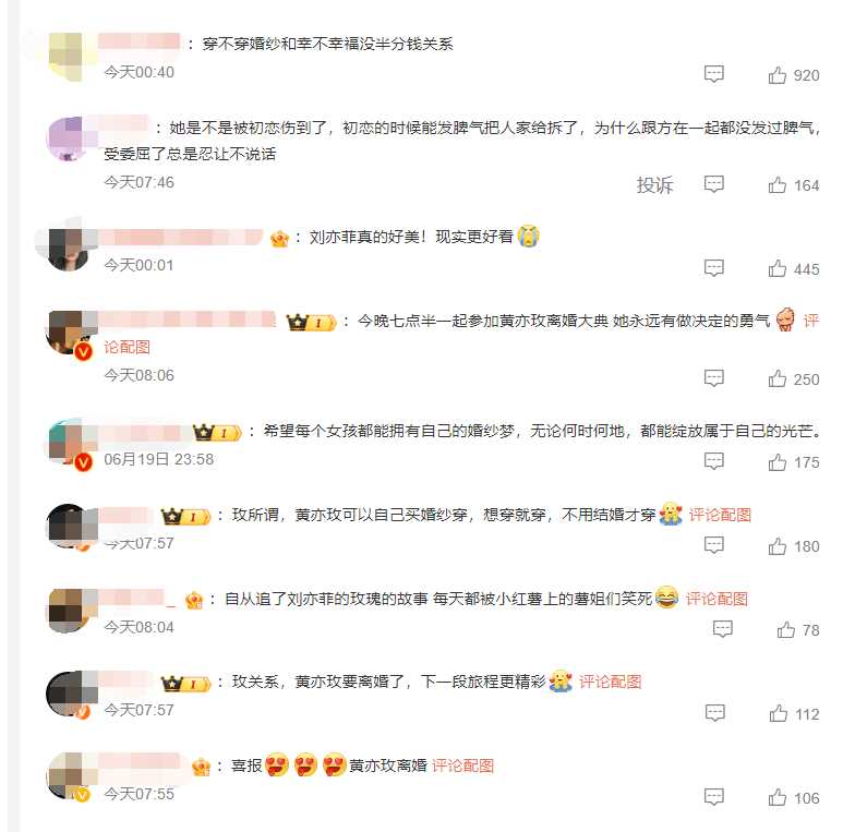 《玫瑰的故事》黄亦玫到离婚都没穿上婚纱 玫瑰重生引爆全网