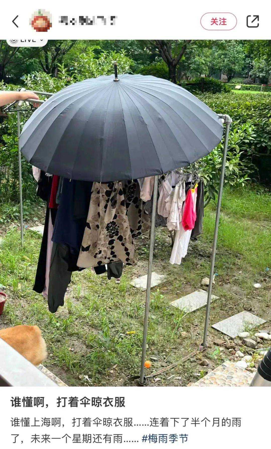 上海暴雨,多位明星家中漏水 家里接水的盆子“排排坐”